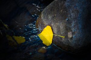 Read more about the article MB_Image00927